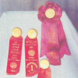 Vintage RKOC Show Ribbons